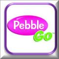 pebble go icon